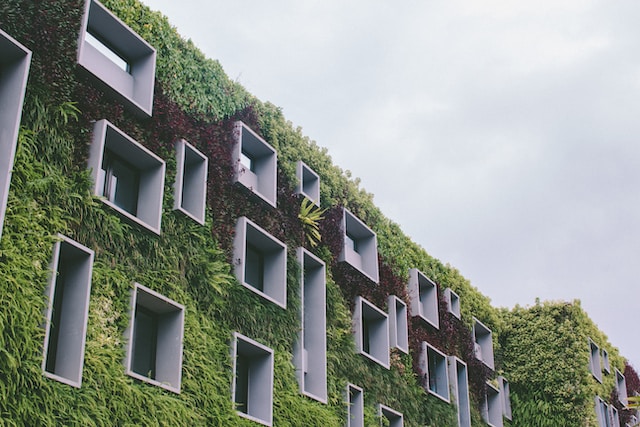Jakie materiały budowlane są najlepsze dla domów ekologicznych?